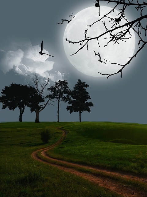 Gartenarbeit im Mond